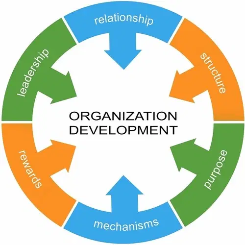 Organizational Development Consultant in Bangalore - SIL